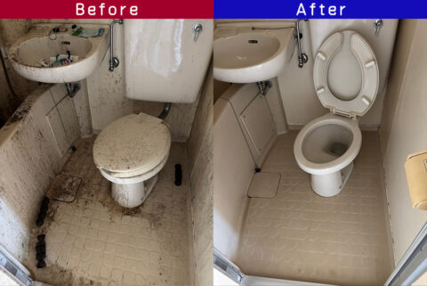 ビフォーアフター