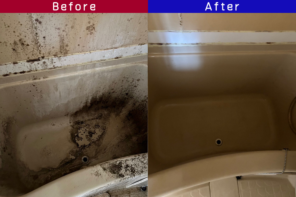 ビフォーアフター