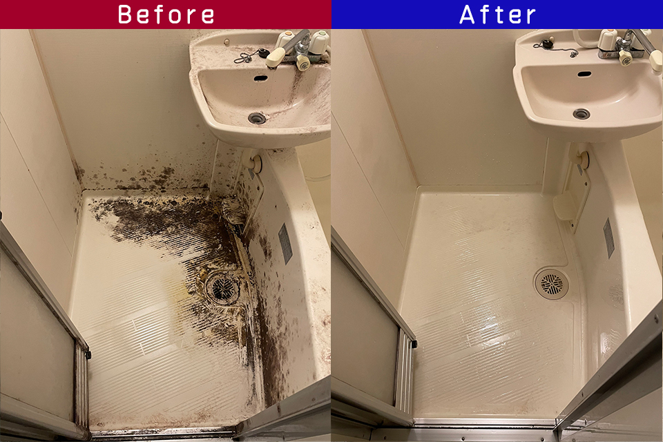 ビフォーアフター