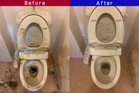 ビフォーアフター