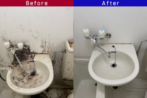 ビフォーアフター