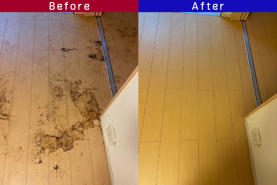 ビフォーアフター